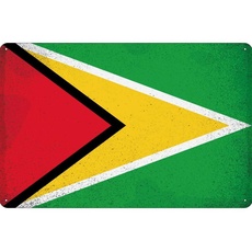 Blechschild Wandschild 20x30 cm Guyana Fahne Flagge