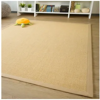 Steffensmeier Sisal Teppich Brazil mit Bordüre Farbe Natur beige Premium Qualität 100% Sisal, Größe: 165x235 cm