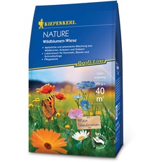 Bild Wildblumen-Wiese 250 gr. Profi-Line Nature