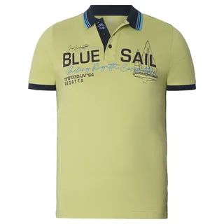Poloshirt JAN VANDERSTORM "Poloshirt TORSON", Herren, Gr. 6XL, grün (hellgrün), Obermaterial: 100% Baumwolle CO., Shirts Poloshirt