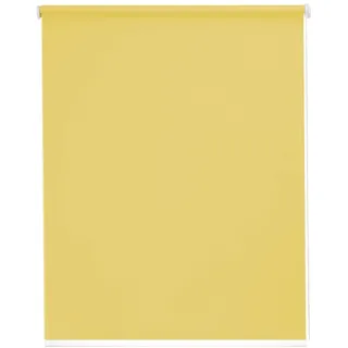SUNLINES Seitenzugrollo Young Style Blackout 142 x 180 cm grün