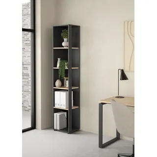INOSIGN Sign Aktenregal 79,6 x 34,3 x 204,7 cm Grau