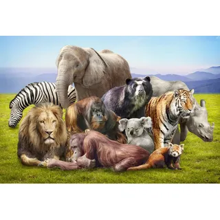 Fototapete PAPERMOON "Tiere", bunt, B:2m L:1,49m, Vlies, Tapeten, Fototapete