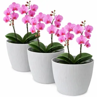 TULMERO Blumentopf matt, Pflanzkübel aus Übertopf Kunststoff Dekorativer Topf für, groß Pflanzen 3X blumenkübel Set, blumenkübel kräutertopf, (3 Pack) Grau, ø 26 cm