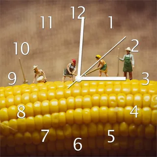 Wallario Design Wanduhr Lustige Bauernfiguren auf einem Maiskolben beim Arbeiten aus Echtglas, Größe 30 x 30 cm - Schwarz