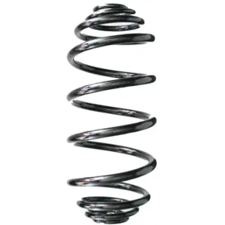 SPIDAN Fahrwerksfeder 87221 Hinterachse für RENAULT