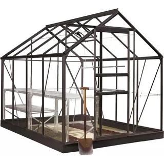 Halls Gewächshaus Popular Schwarz 5 m2