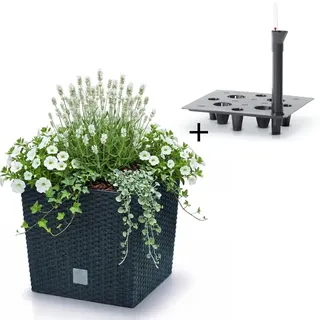 Blumentopf 40,8cm mit Einsatz & Bewässerungssystem Pflanztopf Blumen Anthrazit