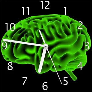 Wallario Design Wanduhr Menschliches Gehirn in leuchtend grüner Farbe aus Echtglas, Größe 20 x 20 cm - Grün