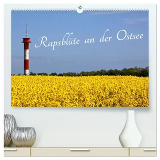 Rapsblüte an der Ostsee (hochwertiger Premium Wandkalender 2026 DIN A2 quer), Kunstdruck in Hochglanz: Jahreszeit im April - Mai mit Rapsblüte an der Ostsee (CALVENDO Natur)