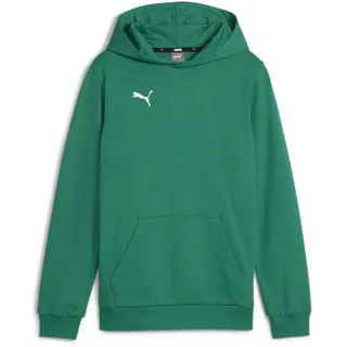 Puma teamGOAL Casuals Hoody Jr Sport Green-Puma white 128