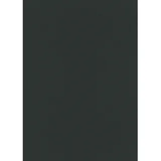 Erismann Vliestapete ERISMANN "Vliestapete Colour Passion", schwarz, B:0,53m H:0,09m L:10,05m, Vlies, Tapeten, Vliestapete, Phthalate frei