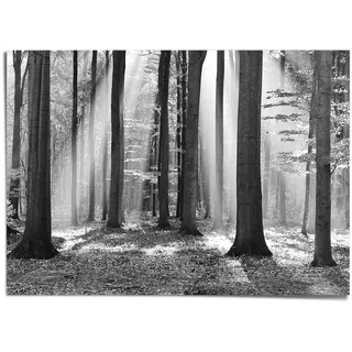 Reinders! Poster »Weißer Wald«, weiß