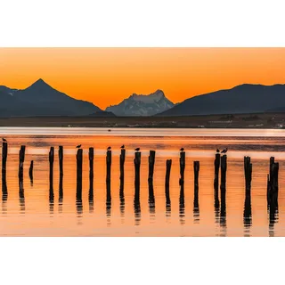 Papermoon "PUERTO NATALES-CHILE SEE GEBIRGE BLUMEN SONNE WALD STEG", bunt,