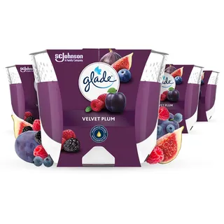 Glade Velvet Plum Duftkerze 4 x 204 g lila