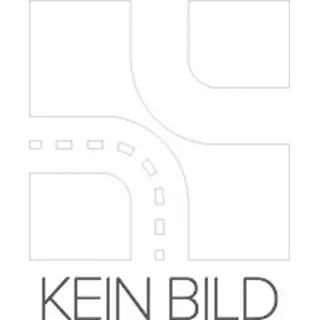 NTY Lampenfassung, Blinkleuchte ezre001 für CITROËN/PEUGEOT FORD RENAULT VAG
