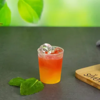 100x Schnapsgläser aus Plastik 2cl / 4cl, glasklare Shotgläser mit Eichstrich, Made In Germany, Wiederverwendbar