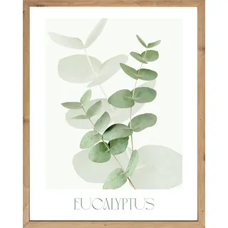 Bild mit Rahmen BÖNNINGHOFF "Wandbild gerahmt EUCALYPTUS 40x50 cm – Botanik Wanddeko Boho Scandi", farbe rahmen: artisan, farbe bild(er): grün, weiß, B:50cm H:40cm T:2,1cm, MDF, Papier, Bilder, Bild mit Rahmen, mit dekorativem Rahmen
