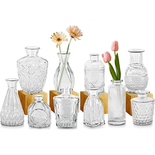 Cptoion 10 Stück Kleine Vasen, Mini Vasen Set, Vintage Deko Kleine Glasvasen, Verschiedene Größen Blumenvase, Transparent Mini Glas Blumenvase für Tischdeko Hochzeiten Partys Budvasen Geschenk