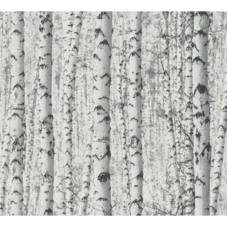 A.S. Création Tapete Birkenwald selbstklebend - Tapete Wald schwarz weiß - Naturtapete grau - 0,52 x 2,5m - Made in Germany