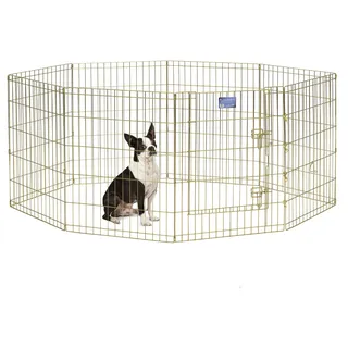 MidWest Homes for Pets Hunde-Gehege aus Metall, zusammenklappbar, mit Tür, inklusive Erdspießen, bietet 1,5 m2 Spielfläche, 76 cm hoch, goldfarben verzinkt.