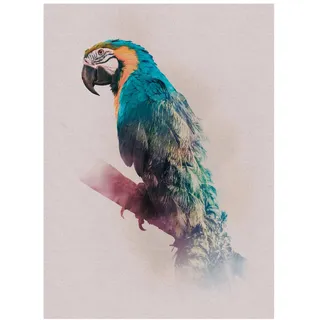 KOMAR Wandbild Animals Paradise Parrot 30 cm x 40 cm