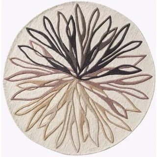 Teppich HEINE HOME Gr. 4, weiß (wollweiß), B:160cm H:17mm L:230cm, Wolle, Teppiche, Teppich