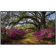 Bild von Infrarotheizung Frühlingsblumen und Oaktrees«, Matt-Effekt - bunt