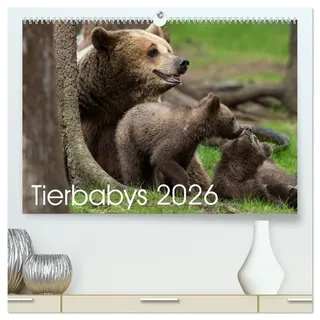 Tierbabys 2026 (hochwertiger Premium Wandkalender 2026 DIN A2 quer), Kunstdruck in Hochglanz: Tierbabys im Focus (CALVENDO Tiere)
