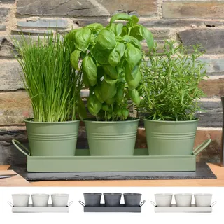 CKB LTD 3er Set Metall Kräutertöpfe mit Abtropfschale Züchten Sie Ihre eigenen Kräuter zum Kochen