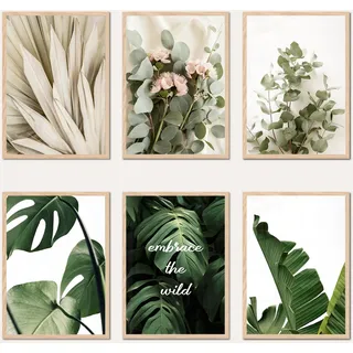 AG Design® DOPPELSEITIGES Set mit 3 Botanik-Postern und Kunstdrucken | 3 Stk. x 30 x 42 cm | Für Schlafzimmer, Wohnzimmer, Küche und Büro | Ohne Rahmen| AP3 351484