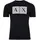XL