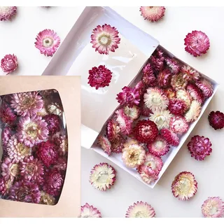 Getrocknete Helichrysum Strohblumen Köpfe – langlebige Trockenblumen für Deko & Basteln | Farbvarianten | Geschenkbox mit Sichtfenster – Dekoration für Kränze, Kerzen & Tischdeko (Violett)