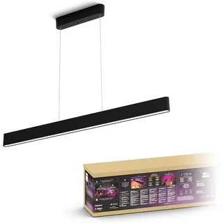 Philips Ensis 2-flg. 130 cm schwarz modern
