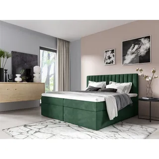 Boxspringbett Schlafzimmerbett LINNEA 200x220cm Stoff Grün inkl. Bettkasten - Grün