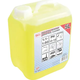 BGS Universal-Industriereiniger 5 l