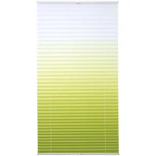 Plissee LIEDECO "Farbverlauf" Gr. 3, grün, B:75cm H:130cm, Obermaterial: 100% Polyester, Plissees, Plissee