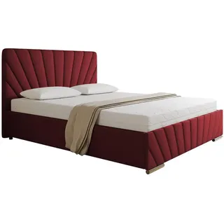 panda möbel gmbh Polsterbett Ray - Komfortbett mit Stauraum, Doppelbett, rot 160x200cm, Bonellfederkernmatratze, H3 - Rot