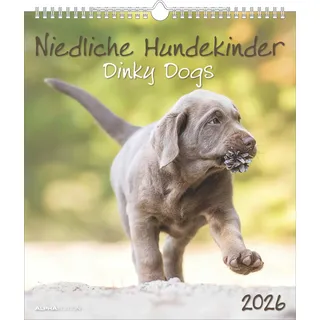 Neumann Niedliche Hundekinder 2026 - Wand-Kalender - Tier-Kalender - 30x34