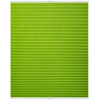 Lichtblick Plissee Klemmfix, ohne Bohren, verspannt