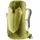 AC Lite 16 linden/cactus