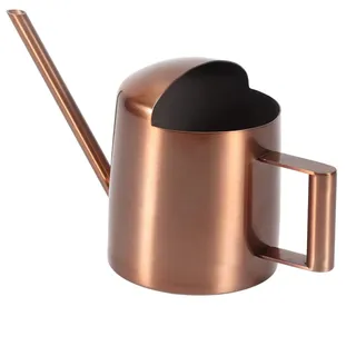 Kleine Gießkanne 10 Oz/300 ml, Metall-Wasserkanne, Pflanzengießkanne, Edelstahl-Sprinklertopf, Wasserpflanzenkrug mit langem Auslauf für Innen- und Außenpflanzen, Gartenblumen