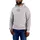 Force Logo Kapuzenpullover grau 058 XL