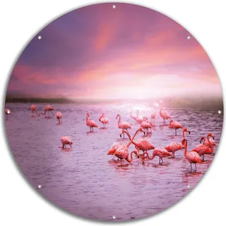 Wallario rundes Outdoor-Poster für Garten oder Balkon, Motiv Rosa Flamingos bei Sonnenuntergang, 60 cm Durchmesser - Rosa