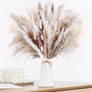 Pampasgras Getrocknet 60pcs Natürliche Trockenblumen Deko DIY Trockene Blüten Strauß,Pampasgras-Bouquet Schilfblume Deko Ideal for Boho Wohnzimmer-Schlafzimmer-und Vasen (LZGSGO-0104)