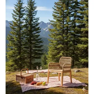 Stilvoller Gartenstuhl Designer Rattanstuhl Luxus Terrassensessel