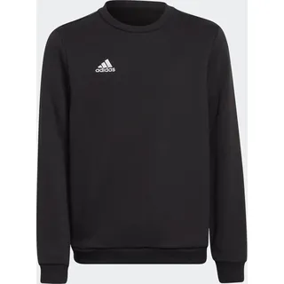 Adidas Entrada 22 Sweatshirt Black 152