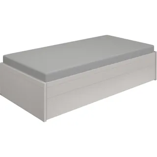 PAIDI Jugendbett »FLYNN in verschiedenen Ausführungen, Ausziehbett mit 2 Liegeflächen« Gästebett, Metallgestell inkl. Lattenroste, 2-in-1 Funktionsbett, grau