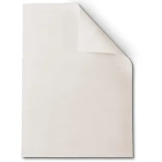 flex it Classic Slim 50x80 cm Antirutschmatte für Teppich Ohne Weichmacher - rutschfeste Teppichunterlage dünn klein für Eingangsteppich Hundeteppich Eingangsbereich Fussabtreter Schuhabstreifer