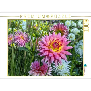 Calvendo Puzzle Blumen - Geschenke der Natur - Rote Dahlien 1000 Teile Puzzle quer | Lege-Größe cm Foto-Puzzle für glückliche Stunden